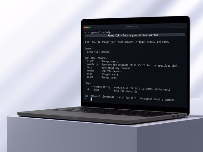 Panop CLI help output on a laptop